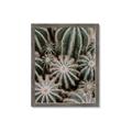 Picture of Cactus Zone _GroupedProduct_Rectangle_Portrait_Photography _GroupedProduct_Rectangle_Portrait_Framed_Matted_
