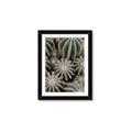 Picture of Cactus Zone _GroupedProduct_Rectangle_Portrait_Photography _GroupedProduct_Rectangle_Portrait_Framed_Matted_