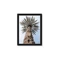 Picture of Palm Perfection _GroupedProduct_Rectangle_Portrait_Photography _GroupedProduct_Rectangle_Portrait_Framed_Matted_