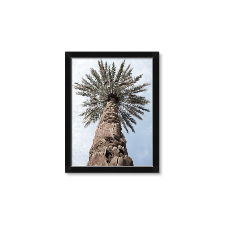Picture of Palm Perfection _GroupedProduct_Rectangle_Portrait_Photography _GroupedProduct_Rectangle_Portrait_Framed_Matted_