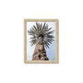 Picture of Palm Perfection _GroupedProduct_Rectangle_Portrait_Photography _GroupedProduct_Rectangle_Portrait_Framed_Matted_