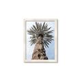 Picture of Palm Perfection _GroupedProduct_Rectangle_Portrait_Photography _GroupedProduct_Rectangle_Portrait_Framed_Matted_