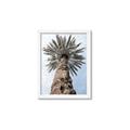 Picture of Palm Perfection _GroupedProduct_Rectangle_Portrait_Photography _GroupedProduct_Rectangle_Portrait_Framed_Matted_