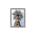 Picture of Palm Perfection _GroupedProduct_Rectangle_Portrait_Photography _GroupedProduct_Rectangle_Portrait_Framed_Matted_
