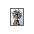 Picture of Palm Perfection _GroupedProduct_Rectangle_Portrait_Photography _GroupedProduct_Rectangle_Portrait_Framed_Matted_