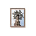Picture of Palm Perfection _GroupedProduct_Rectangle_Portrait_Photography _GroupedProduct_Rectangle_Portrait_Framed_Matted_