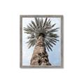 Picture of Palm Perfection _GroupedProduct_Rectangle_Portrait_Photography _GroupedProduct_Rectangle_Portrait_Framed_Matted_