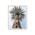 Picture of Palm Perfection _GroupedProduct_Rectangle_Portrait_Photography _GroupedProduct_Rectangle_Portrait_Framed_Matted_