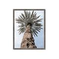 Picture of Palm Perfection _GroupedProduct_Rectangle_Portrait_Photography _GroupedProduct_Rectangle_Portrait_Framed_Matted_