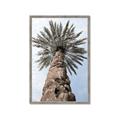 Picture of Palm Perfection _GroupedProduct_Rectangle_Portrait_Photography _GroupedProduct_Rectangle_Portrait_Framed_Matted_
