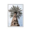 Picture of Palm Perfection _GroupedProduct_Rectangle_Portrait_Photography _GroupedProduct_Rectangle_Portrait_Framed_Matted_