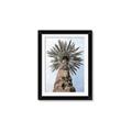 Picture of Palm Perfection _GroupedProduct_Rectangle_Portrait_Photography _GroupedProduct_Rectangle_Portrait_Framed_Matted_