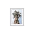 Picture of Palm Perfection _GroupedProduct_Rectangle_Portrait_Photography _GroupedProduct_Rectangle_Portrait_Framed_Matted_