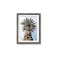 Picture of Palm Perfection _GroupedProduct_Rectangle_Portrait_Photography _GroupedProduct_Rectangle_Portrait_Framed_Matted_