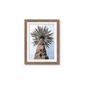 Picture of Palm Perfection _GroupedProduct_Rectangle_Portrait_Photography _GroupedProduct_Rectangle_Portrait_Framed_Matted_