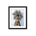 Picture of Palm Perfection _GroupedProduct_Rectangle_Portrait_Photography _GroupedProduct_Rectangle_Portrait_Framed_Matted_