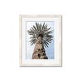 Picture of Palm Perfection _GroupedProduct_Rectangle_Portrait_Photography _GroupedProduct_Rectangle_Portrait_Framed_Matted_