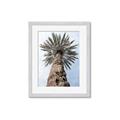 Picture of Palm Perfection _GroupedProduct_Rectangle_Portrait_Photography _GroupedProduct_Rectangle_Portrait_Framed_Matted_