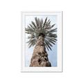 Picture of Palm Perfection _GroupedProduct_Rectangle_Portrait_Photography _GroupedProduct_Rectangle_Portrait_Framed_Matted_