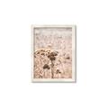 Picture of Macro Dried Florals _GroupedProduct_Rectangle_Portrait_Photography _GroupedProduct_Rectangle_Portrait_Framed_Matted_