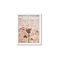 Picture of Macro Dried Florals _GroupedProduct_Rectangle_Portrait_Photography _GroupedProduct_Rectangle_Portrait_Framed_Matted_