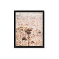 Picture of Macro Dried Florals _GroupedProduct_Rectangle_Portrait_Photography _GroupedProduct_Rectangle_Portrait_Framed_Matted_