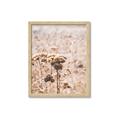 Picture of Macro Dried Florals _GroupedProduct_Rectangle_Portrait_Photography _GroupedProduct_Rectangle_Portrait_Framed_Matted_