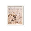 Picture of Macro Dried Florals _GroupedProduct_Rectangle_Portrait_Photography _GroupedProduct_Rectangle_Portrait_Framed_Matted_