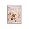 Picture of Macro Dried Florals _GroupedProduct_Rectangle_Portrait_Photography _GroupedProduct_Rectangle_Portrait_Framed_Matted_