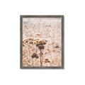 Picture of Macro Dried Florals _GroupedProduct_Rectangle_Portrait_Photography _GroupedProduct_Rectangle_Portrait_Framed_Matted_