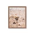 Picture of Macro Dried Florals _GroupedProduct_Rectangle_Portrait_Photography _GroupedProduct_Rectangle_Portrait_Framed_Matted_