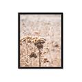 Picture of Macro Dried Florals _GroupedProduct_Rectangle_Portrait_Photography _GroupedProduct_Rectangle_Portrait_Framed_Matted_