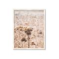 Picture of Macro Dried Florals _GroupedProduct_Rectangle_Portrait_Photography _GroupedProduct_Rectangle_Portrait_Framed_Matted_