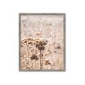 Picture of Macro Dried Florals _GroupedProduct_Rectangle_Portrait_Photography _GroupedProduct_Rectangle_Portrait_Framed_Matted_