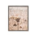 Picture of Macro Dried Florals _GroupedProduct_Rectangle_Portrait_Photography _GroupedProduct_Rectangle_Portrait_Framed_Matted_