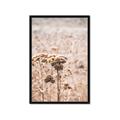 Picture of Macro Dried Florals _GroupedProduct_Rectangle_Portrait_Photography _GroupedProduct_Rectangle_Portrait_Framed_Matted_