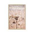 Picture of Macro Dried Florals _GroupedProduct_Rectangle_Portrait_Photography _GroupedProduct_Rectangle_Portrait_Framed_Matted_