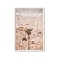Picture of Macro Dried Florals _GroupedProduct_Rectangle_Portrait_Photography _GroupedProduct_Rectangle_Portrait_Framed_Matted_