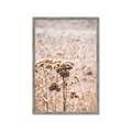 Picture of Macro Dried Florals _GroupedProduct_Rectangle_Portrait_Photography _GroupedProduct_Rectangle_Portrait_Framed_Matted_