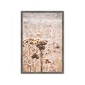 Picture of Macro Dried Florals _GroupedProduct_Rectangle_Portrait_Photography _GroupedProduct_Rectangle_Portrait_Framed_Matted_