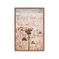 Picture of Macro Dried Florals _GroupedProduct_Rectangle_Portrait_Photography _GroupedProduct_Rectangle_Portrait_Framed_Matted_
