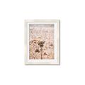 Picture of Macro Dried Florals _GroupedProduct_Rectangle_Portrait_Photography _GroupedProduct_Rectangle_Portrait_Framed_Matted_