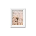 Picture of Macro Dried Florals _GroupedProduct_Rectangle_Portrait_Photography _GroupedProduct_Rectangle_Portrait_Framed_Matted_