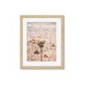 Picture of Macro Dried Florals _GroupedProduct_Rectangle_Portrait_Photography _GroupedProduct_Rectangle_Portrait_Framed_Matted_
