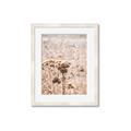 Picture of Macro Dried Florals _GroupedProduct_Rectangle_Portrait_Photography _GroupedProduct_Rectangle_Portrait_Framed_Matted_