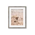 Picture of Macro Dried Florals _GroupedProduct_Rectangle_Portrait_Photography _GroupedProduct_Rectangle_Portrait_Framed_Matted_