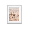 Picture of Macro Dried Florals _GroupedProduct_Rectangle_Portrait_Photography _GroupedProduct_Rectangle_Portrait_Framed_Matted_