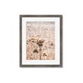 Picture of Macro Dried Florals _GroupedProduct_Rectangle_Portrait_Photography _GroupedProduct_Rectangle_Portrait_Framed_Matted_