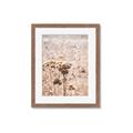 Picture of Macro Dried Florals _GroupedProduct_Rectangle_Portrait_Photography _GroupedProduct_Rectangle_Portrait_Framed_Matted_