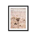 Picture of Macro Dried Florals _GroupedProduct_Rectangle_Portrait_Photography _GroupedProduct_Rectangle_Portrait_Framed_Matted_